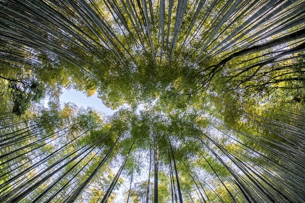 protection environnement
