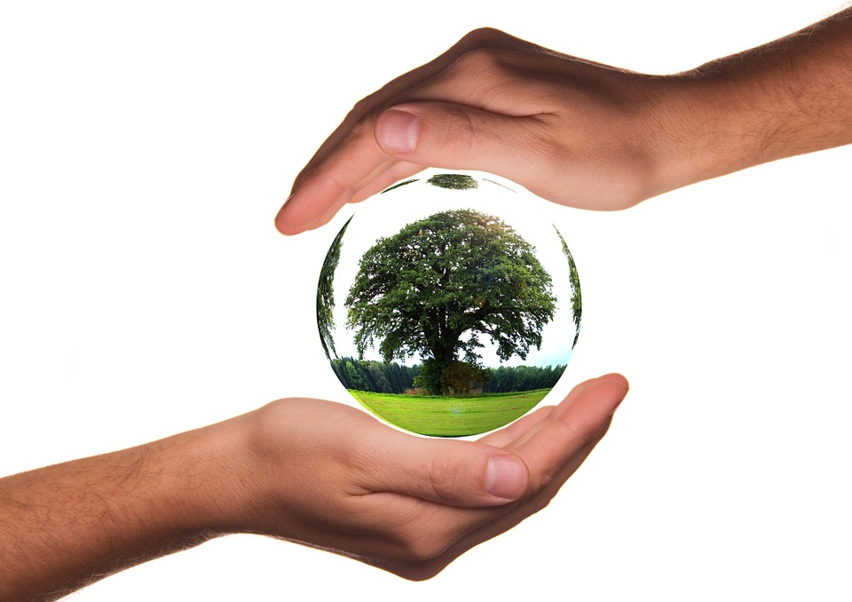 Développement durable Selecteo