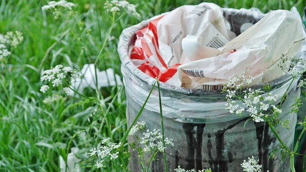 dégradation déchets nature